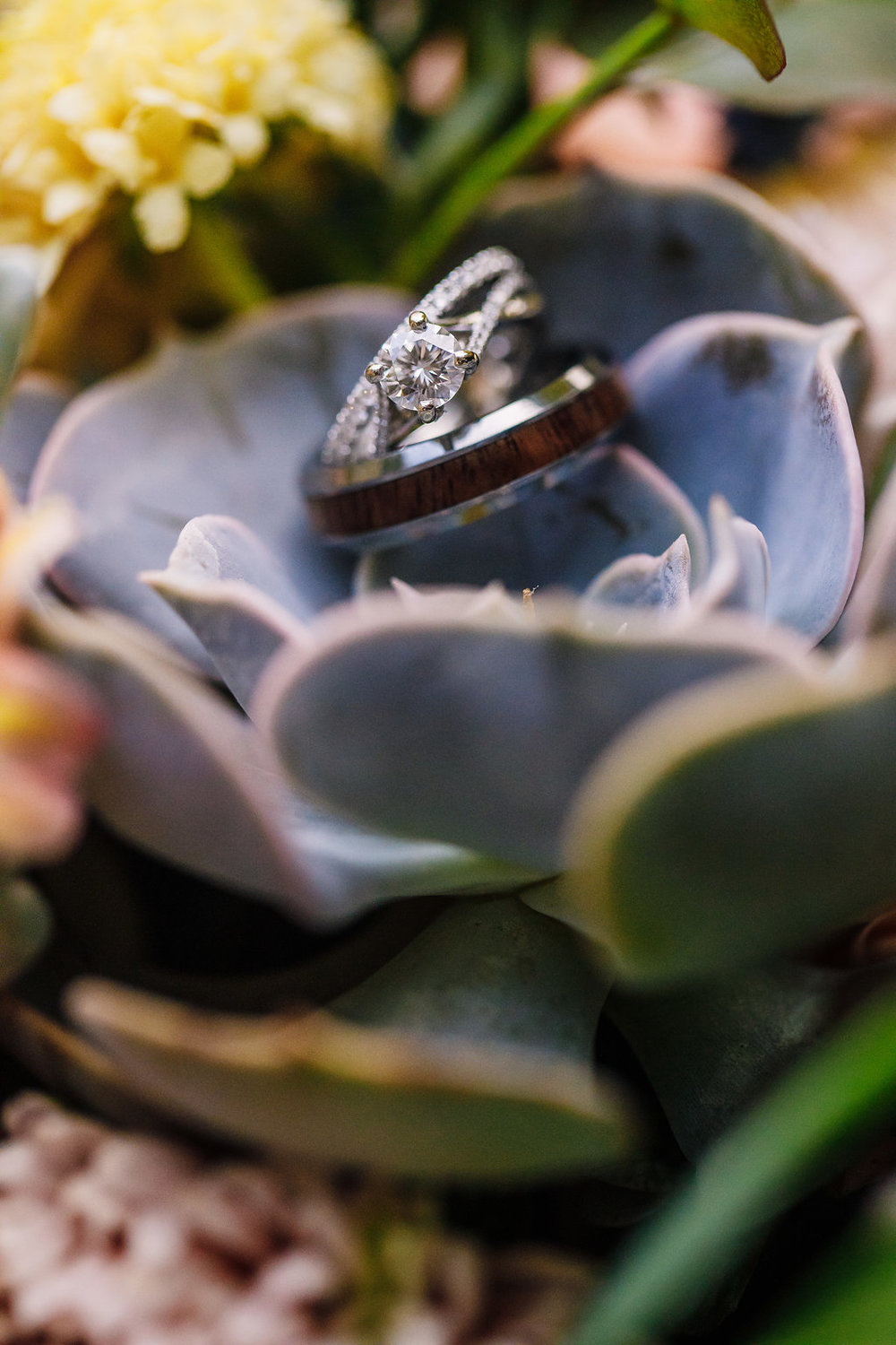 brielle-davis-events-photography-by-brea-linganore-winery-james-sarah-wedding-rings.jpg